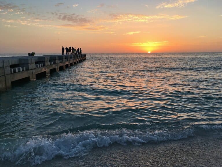 experience beach bistro ami