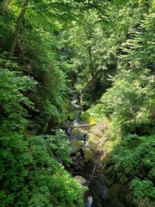 experience bushkill falls