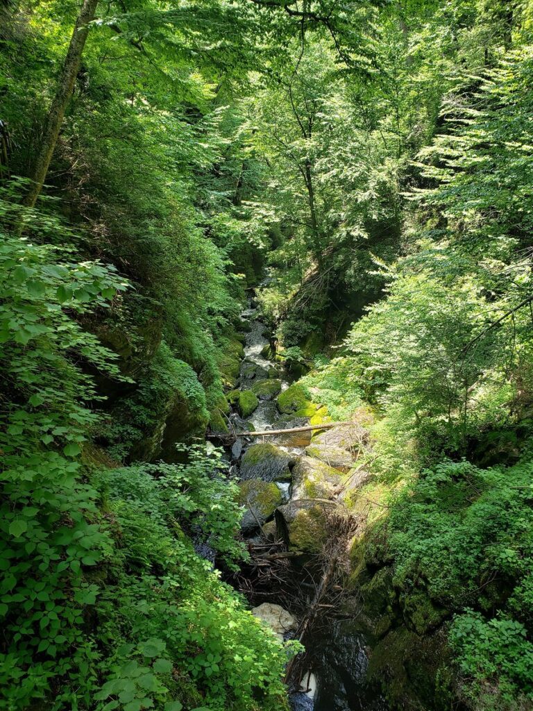 experience bushkill falls