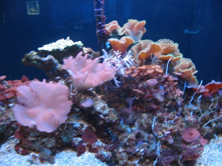 experience mote marine