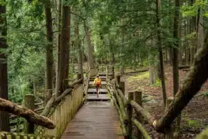 person hiking bushkill falls 2000x e4d997