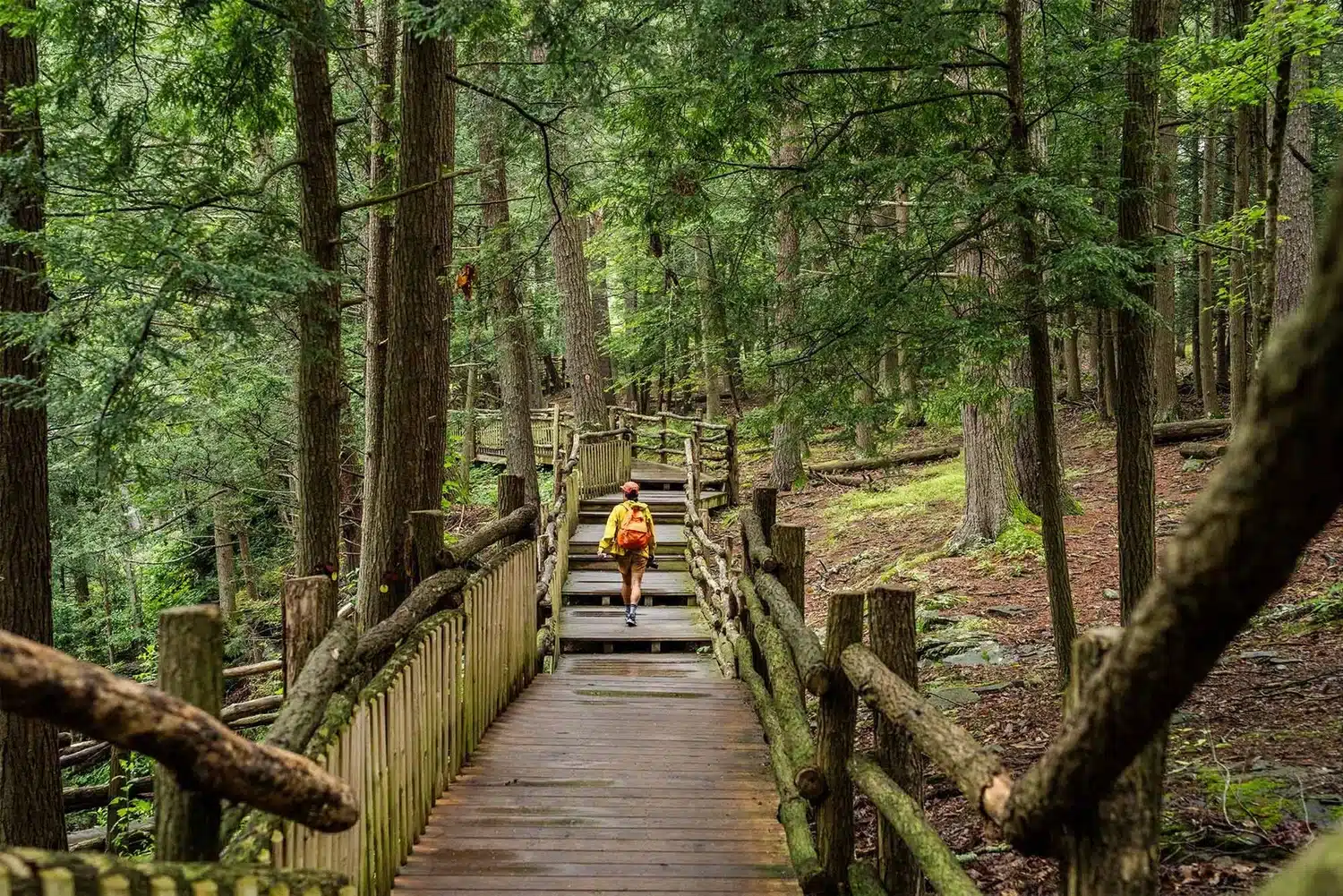 person hiking bushkill falls 2000x e4d997